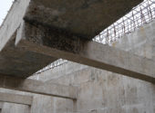 P1060984