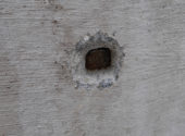 P1060985